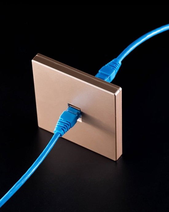 CAT 6 Shielded Pass through Network Module Dual Ports Panel Shielded Pass through TV Socket Gold CAT 6 Shielded Pass through Network Module Dual Ports Panel Shielded Pass through TV Socket Gold
